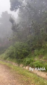 Ain Draham - Page OfficieIle on Reels