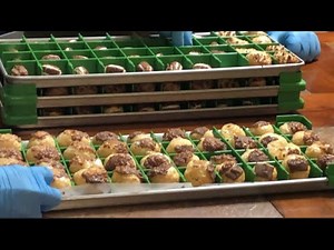 How We Freeze Dry Milk Duds, Charleston Chew, Snickers, and Milky Way! Freeze Drying Chocolate!