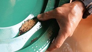 Australie, la ruée vers l'or