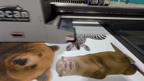 Kangaroo Cardboard Cutout Standee 4FT – Life Size Standup for Parties, Photo Booths, and Decorations