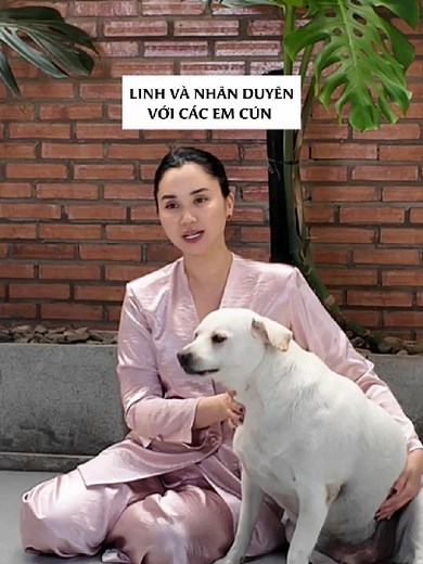 Nhân duyên đưa đẩy, Linh làm sen còn các em cún làm