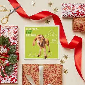 From bees to goats you’ll find charity gifts for everyone with Oxfam Unwrapped. Plus FREE chocolate coins if you spend £10 or more. | Oxfam Great Britain