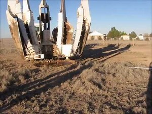 Mature Pecan Tree Transplanting - Hole Preparation