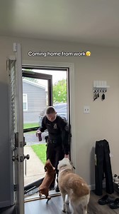 Seriah gets so happy to see her mommy come home ❤️ #wlwcouple #lgbtqfamily #twomoms #twomomfamily #wlw