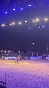 A win for Ireland as Cmmdt. Geoff Curran lands the CSI3* Dick Turpin Stakes at @hoysofficial with DHF Alliance. Curran was imperious on the Irish Sport Horse, finishing clear in a time of 56.86 seconds, nearly three seconds clear of their nearest pursuer. Curran said: "She won it very well. She's naturally a very fast mare and once I do my job correctly and keep it nice and smooth, she's faster than most - she's a good horse. "I had that much confidence in her - I never had to kick her, that's j