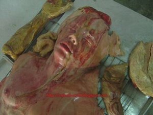 Cannibal Food?? Exotic Food??