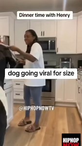 this dog is humongous #doglife #dogs #pet | Darrel Johnson