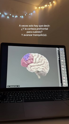 🔬 La corteza prefrontal participa en funciones como control de impulsos, toma de decisiones, planeación, empatía cognitiva y regulación conductual. Cuando estas habilidades fallan, suelen aparecer respuestas reactivas, poca reflexión y conflictos interpersonales. 💬 En términos psicológicos, no todo merece discusión ni desgaste emocional. También es salud relacional reconocer cuándo una conversación no tiene apertura, autocrítica ni disposición al cambio. 🌱 Avanzar tranquilo no significa indif