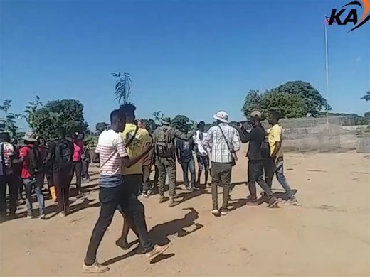 2.7K views · 70 reactions | Yn group moun kap travay sou kanal la deside plante pye bwa | Konnen Ayiti | Facebook