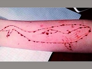 Blue Whale Challenge: An Indian curator who changed rules of the game