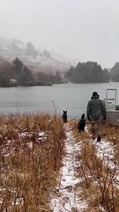 Heavy, wet snow on Kodiak Island in January. Easterly and northeasterly winds often bring warm, wet weather to the island and we’ve had a long series of storms from that direction. The giant Sitka spruce in our yard have a fine coating of snow- quite beautiful to look at! #storms #january #weather #kodiak #snow #alaskalife #alaska #oceanside | Kodiak Island Expeditions