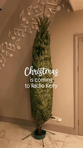 Our Christmas Tree is up and bringing plenty of sparkle here at Radio Kerry!🎄🎄🎄 | Radio Kerry