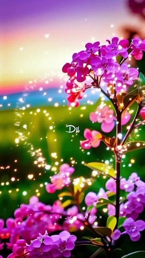 45K views · 1.4K reactions | Chota sa tu mera ek kam kar de__珞 . #fbreels #lyrics #viral #lyrics #statusvideo #FBVIDEO #viralreelsfb Rsk Video creator Radhe Shyam | Rsk Video creator | Facebook