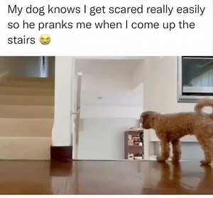 Aaron Burris on Reels