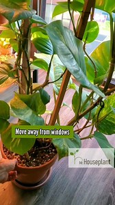 3.4K views · 60 reactions | Need to go on a trip, but don't know what...