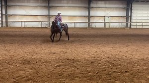 1.1K views · 39 reactions | Roan gelding Marvin Billings | Rockin' B Ranch | Facebook