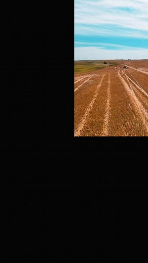 4450 PATRIOT Sprayer #monsonfarms #caseih #alexandernd #crops #farm #agriculture | Lander Monson