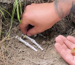 332K views · 1.2K reactions | Let's go on a treasure hunt | Wood Mood | Facebook