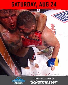 #Bellator225 at Webster Bank Arena goes down on Saturday, August 24th in Bridgeport, Connecticut. Get your tickets now!! 🎟👉 http://bit.ly/Bellator-225 | Bellator MMA