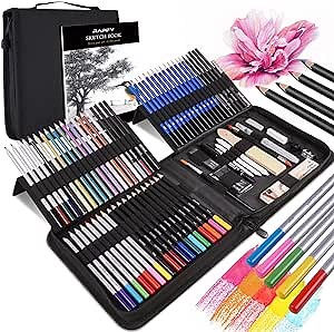 Rapify Art Supplies drawing kit 84-Pack, Sketching Art Set/Stuff Diverse art Pencils, Ideal Gift for Beginners & Professional Artists Teens & Adults