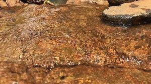 15K views · 528 reactions | Amazing stream! | Amazing Land | Facebook