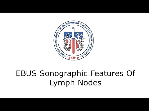 EBUS Sonographic Features Of Lymph Nodes