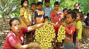 1.2K views · 37 reactions | Survival skills-woman found burmese grape and give to kids for eat -Eating delicious | Galvin Planet | Facebook