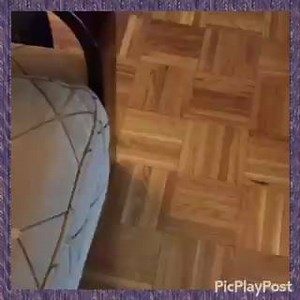 The lovely sis Gemma & Eva playing around! Miss you girls! You are soooo adorable! ❤️ | VIP SITTERS