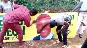 The cow | Kipsotet Willy