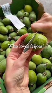 Yoohoo, feijoa lovers, your time has come! Paul Haar’s amazingly moreish organic feijoas are always fleeting, so grab some while you can. 😎 If you’d like to learn more about our (only!) feijoa grower, head to the @ceresfairfood link in bio and hit ‘News on your local food system’ - if you like what you read, why not subscribe? 😏 #organicfeijoas #feijoas #feijoasmelbourne | CERES Environment Park