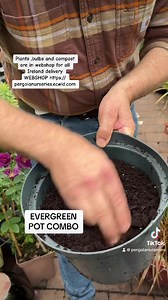 Pot Combo for year round colour with Leucothoe “Curly Red” ,Uncinia “Everflame “ ,Tulip Dwarf “Red Riding Hood” Short Day Viola “Tiger Eyes” All planted in Swell Well Compost for best results. Plants ,bulbs and compost are in webshop for all Ireland delivery WEBSHOP https://pergolanurseries.ecwid.com Pergola Nurseries Garden Corner, Virginia,Co Cavan A gardeners oasis of quality plants Open Tuesday to Saturday 10.30-6 Open Sundays 2-6 | Pergola Nurseries Garden Corner