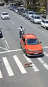 95K views · 658 reactions | Nem mindennapi eset! | MotorHang | Facebook