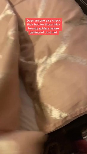 How to Check Your Bed for Spiders Effectively