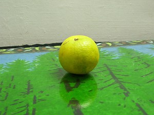 Mosambi, Sweet Lime, Sweet Lemon or Citrus Limetta and Its Health Benefits