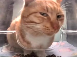 Nyc đăng ảnh chụp chung với nym xong để bài nhạc này | 𝙀𝙧𝙧𝙤𝙧