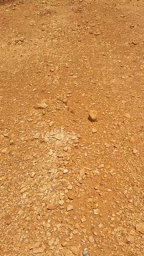 The Geodes were Everywhere! This site is incredible! #alabama_rockhound #rockhound #geode | Alabama Rockhound