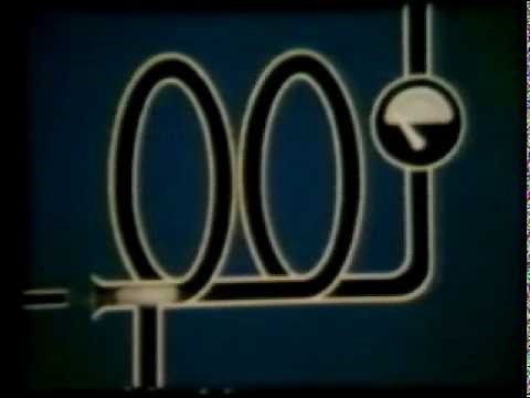 Gas Chromatography Explained 1980