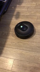 All I need is Rufus my three legged kitty and Bog my battery operated girlfriend￼🤠 | Dan Carr