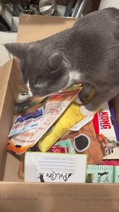 She got NO self control | 𝑀𝒾𝓀𝒶𝒾𝓁𝒶 𝑀𝓊𝓇𝓅𝒽𝓎