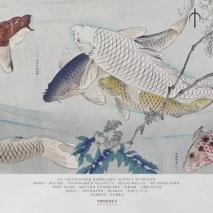 Alexander Kowalski -“The Tunnel” is out now on Prophet Recordings as part of the “Ritual Act V“ compilation. And I am in really good company here together with A4, Alexey Dunchyk, Booz, Divide, Gianmarco Silvetti, Hugo Rolan, Metapattern, Mist Gasp, Motion Symmetry, NWHR, Oblivian, Oisel, Operator, Ruman, S/H/U/Y/A, Tehotu and Zvrra. (Link in comments) | Alexander Kowalski