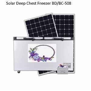[Hot Item] 508L Compressor DC 12V/24V Solar Refrigerator Deep Chest Freezer