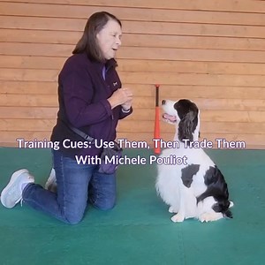 1.2K views · 21 reactions | Whether your training cues are...