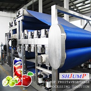 [Hot Item] Full-Automation Fruits Processing Plant/Fruit Production Line