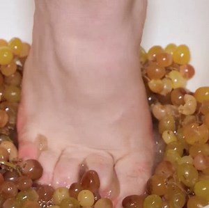 Making a backyard grape tincture! | 5-Minute Recycle