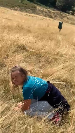 Nicole Orlando on Reels