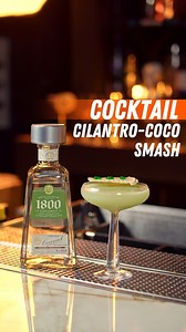 • Cilantro-coco smash •ABV 16 P ml @1800tequila Tequila 1800Cilantro20 ml @limoncellorossidasiago Limoncello Rossi d'Asiago20 ml @bakery Fabrri cocoLime juice 1/2Method: ShakeGarnish: Grated lime, coco chips cilantro gelGlass: Коктейльний келих Coupe, 235 мл"Big Top", Nude Посуд та інвентар: @bartriggershopДля замовлення Limoncello Rossi d'Asiago: Bayadera Logistic Elite 1800 Tequila замовляйте на @maudau.com.ua (https://maudau.com.ua/)Drink responsibly!#cocktail #cocktailrecipes #cocktails #bar