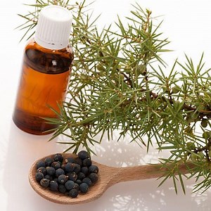 Natural Juniper Berry Oil, Grade : Cosmetic at Rs 12000 in Delhi - ID: 5035466