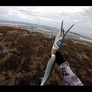 10K views · 720 reactions | Ang paghihigante sa isdang mapang-api! | Prince Pudidi Fishing | Facebook