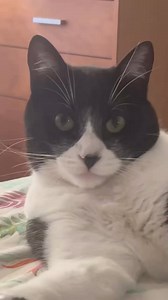 😂😂😂😾 | Sofia Ramiro