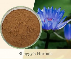 200X Blue Lotus Powdered Extract Herbal Tea Shaggy's Herbals - Etsy
